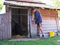 free video 